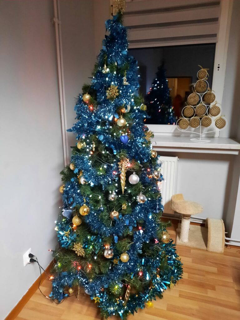 Na zdjęciu udekorowana przez wychowanków choinka.