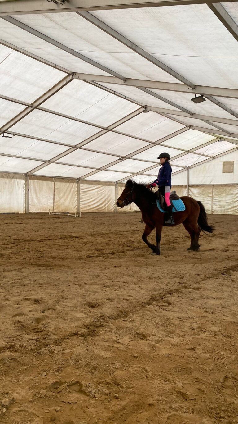 Dziewczynka na koniu podczas nauki samodzielnej jazdy.