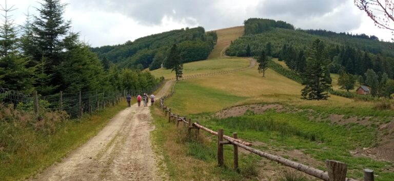 Na zdjęciu krajobraz górski.